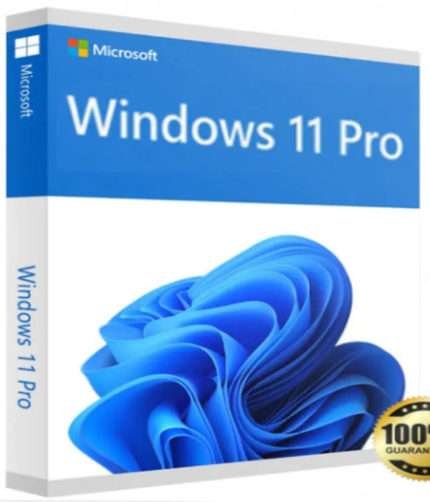 Windows 11 Upgrade to Professional Activation Key